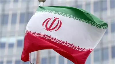 جينجر تشابمان: احتجاز السفينة الإيرانية يساهم في تصعيد غير محسوب للتوترات