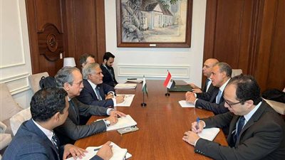 وزيرا الخارجية المصري والباكستاني يبحثان تطوير العلاقات الثنائية والمستجدات في الشرق الأوسط
