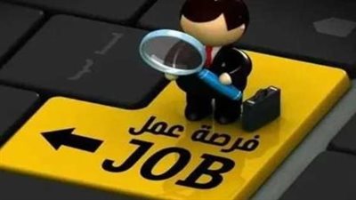 براتب يبدأ من 7000 جنيه.. تعرف على شروط وطريقة التقديم لوظائف وزارة العمل بالسويس