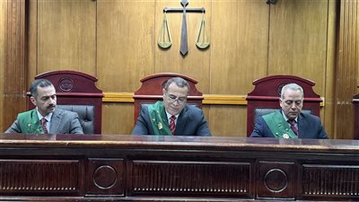 السجن 3 سنوات لمتهمين والحبس سنة لثالث في واقعة استعراض قوة وإحداث عاهة مستديمة بشارع خوفو