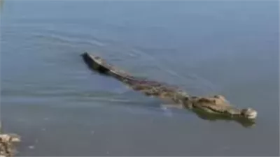 رعب في 
