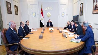 لقاء موسع.. السيسي يبحث توطين صناعة الطاقة المتجددة مع 