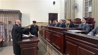 اسباب براءة شادي الفونس.. بطلان إجراءات القبض والتفتيش 