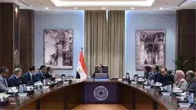لخدمة استثمارات الإسماعيلية.. مدبولي يوافق على إنشاء موزع كهرباء جديد