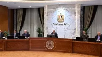 برئاسة هاني منيب.. مدبولي يعتمد تشكيل لجنة تأسيس 
