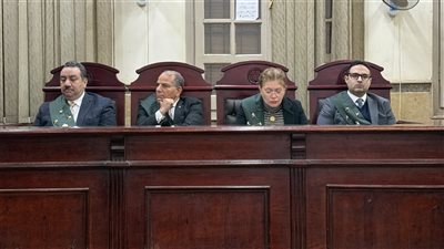 المؤبد للمعتدي على صغير قصر النيل.. لحظة وعي أنقذته