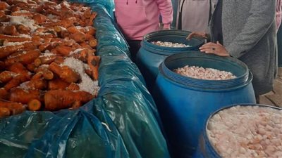 محافظ المنوفية: ضبط كيان مخالف لتصنيع المخللات بقويسنا والتحفظ على كميات كبيرة فاسدة