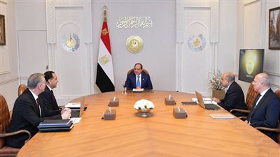 الرئيس السيسي يوجه بتأمين إمدادات الطاقة وضمان استقرار التيار الكهربائي