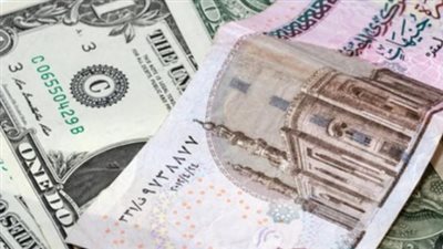 هل يتخطى الدولار حاجز 49 جنيهاً؟ استقرار أسعار الصرف في بداية شهر مارس 2026