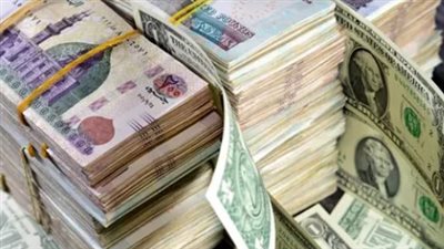 الدولار في مصر 2026: استقرار العملة الصعبة يمنح السوق المصرفي هدوءاً في تعاملات السبت