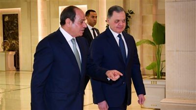 السيسي: مصر ترفض تهجير الفلسطينيين وتدعو لوقف الحرب