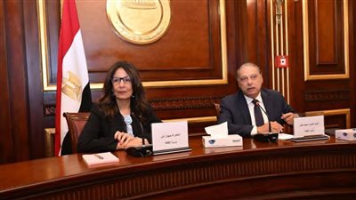 لجنة العلاقات الخارجية بمجلس الشيوخ تجتمع بوزيرة الثقافة لبحث ملف القوة الناعمة لمصر