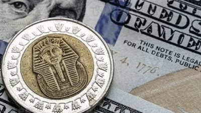 سعر الدولار الآن.. استقرار في بنك الإسكندرية والبركة ومتابعة لحركة الصرف