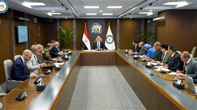 وزير البترول يعلن بدء المسح الجوي الشامل للمعادن في مصر بمشاركة شركة عالمية