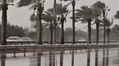 الأرصاد تكشف حالة الطقس غدا السبت 14 مارس 2026.. أمطار متفرقة ونشاط للرياح