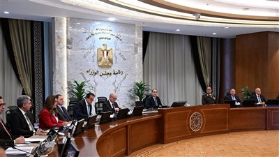 مصطفى مدبولي: تداعيات التصعيد بالمنطقة تهدد أمن الطاقة وسلاسل الإمداد عالميًا
