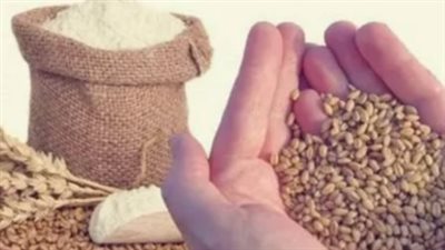 دليل المواطن لزكاة الفطر 1447 هـ.. القيمة، الموعد، والحكم الشرعي للتأخير