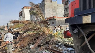 بعد سقوط نخلة على القضبان.. العناية الإلهية تنقذ ركاب قطار سيدي جابر بالإسكندرية
