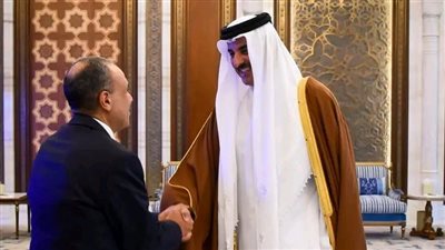 وزير الخارجية ينقل رسالة دعم كامل وتضامن مصر التام إلى سمو أمير دولة قطر 
