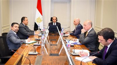 وزير الخارجية يشارك في الاجتماع الوزاري المشترك الرابع بين مصر ودول مجلس التعاون الخليجي
