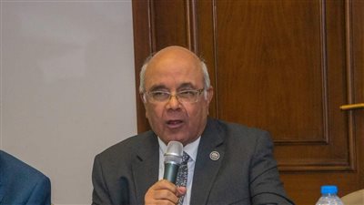الفيومي: الطرح بالبورصة أداة إصلاح تفرض الانضباط الإداري وتحسن الأداء المالي