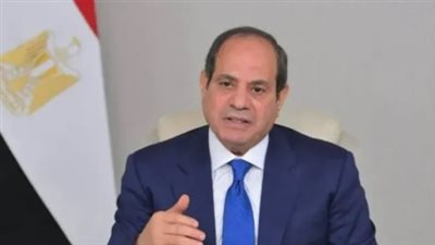 السيسي: الطاقة استراتيجية حيوية ووقف النشاط يؤثر سنوات على الأسواق العالمية