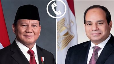 اتصال رئاسي مصري إندونيسي لبحث تهدئة الأوضاع