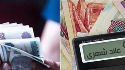 البنك الأهلي المصري يطرح الشهادة البلاتينية بعائد يصل إلى 22% لعام 2026