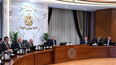 رئيس الوزراء يترأس اجتماع المجموعة الوزارية الاقتصادية لمتابعة الملفات الحيوية وسط تداعيات العمليات العسكرية الإقليمية