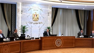 الحكومة تُشدد على كفاءة الطاقة.. قرارات جديدة لضبط استيراد وبيع الأجهزة الكهربائية في مصر