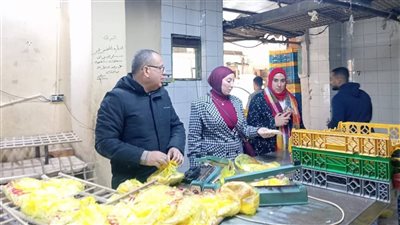 ضبط أكثر من 2 طن أعلاف وسلع مخالفة بالدقهلية خلال حملات مكثفة على الأسواق والمخابز
