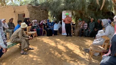 بحوث الصحراء يطلق أيامًا حقلية وعروضًا إرشادية لدعم مزارعي الوادي الجديد