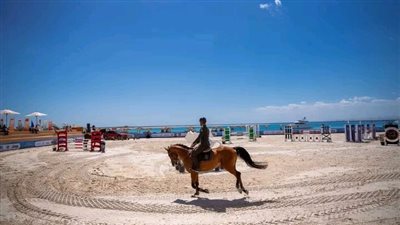وزارة السياحة والآثار ترعى بطولتي كأس العالم للسباحة في المياه المفتوحة وكأس مصر للفروسية بسوما باي