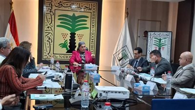 المجلس القومي للطفولة والأمومة يستعرض جهوده لحماية الأطفال وتمكين الفتيات في اجتماعه الدوري