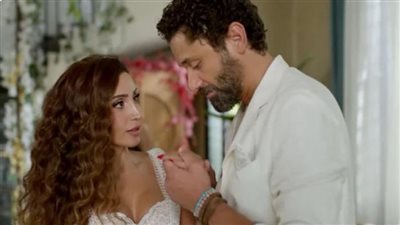 حقيقة زواج كريم محمود عبد العزيز ودينا الشربيني في 