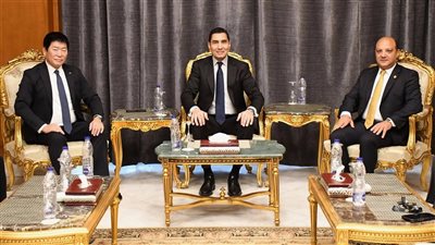 وزير الشباب يلتقي رئيس الاتحاد الدولي للجمباز قبيل انطلاق كأس العالم للجمباز الفني في مصر