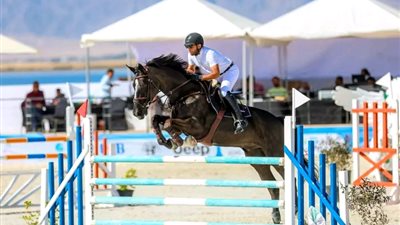 وزير الشباب والرياضة يشيد ببطولة كأس مصر للفروسية والتنظيم المتميز.. ويؤكد دعم الوزارة لتطوير اللعبة