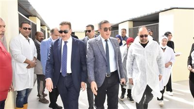 الزراعة تتابع منظومة التعامل مع الكلاب الحرة في بورسعيد وتدريب الأطباء البيطريين على التحصين والتعقيم