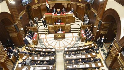 المستشار هاني حنا يشارك في جلسة 