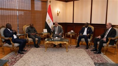 وزير الدولة للإنتاج الحربي يستقبل وفدًا رفيع المستوى من جمهورية أفريقيا الوسطى لبحث أوجه التعاون