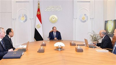 السيسي يوجه بتسريع مشروعات الطاقة المتجددة لتحقيق استدامة الشبكة القومية