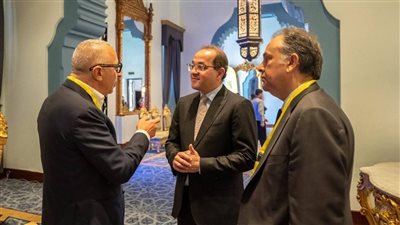 وزير المالية: مصر تتحرك بقوة لتعزيز كفاءة الطاقة والتحول إلى الاقتصاد منخفض الكربون