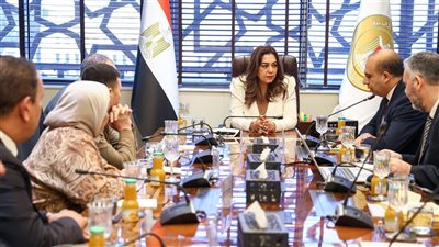 الحكومة تتجه لتوسيع إنتاج الوقود الحيوي من المخلفات الحيوانية وزيوت الطعام المستعملة