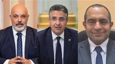 إيهاب واصف: حملات 