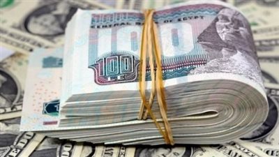 سعر الدولار اليوم في مصر.. استقرار رسمي داخل البنك المركزي والبنوك الكبرى