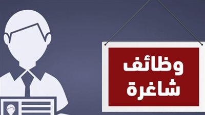 بشفافية تامة.. الجهاز المركزي للتنظيم والإدارة يفتح باب الأمل أمام المتقدمين لوظائف الأزهر