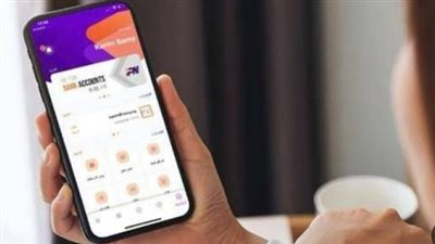 حدود التحويل اليومية والشهرية وعلاقتها بـ رسوم تحويل انستا باي الجديدة