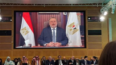 محافظ البنك المركزي المصري يشارك عبر تقنية الفيديو كونفرانس في اجتماع محافظي البنوك المركزية