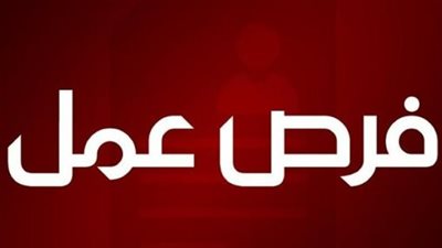 الحد الأدنى للأجور والتأمينات.. ضوابط وزارة العمل لضمان حقوق الشباب في الوظائف الجديدة