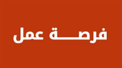 فرص عمل في القاهرة والجيزة و7 محافظات أخرى.. إليك طرق التقديم والمواعيد